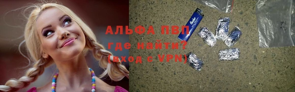 гидропоника Бородино