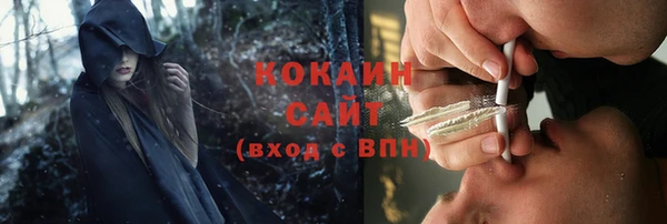 гидропоника Бородино