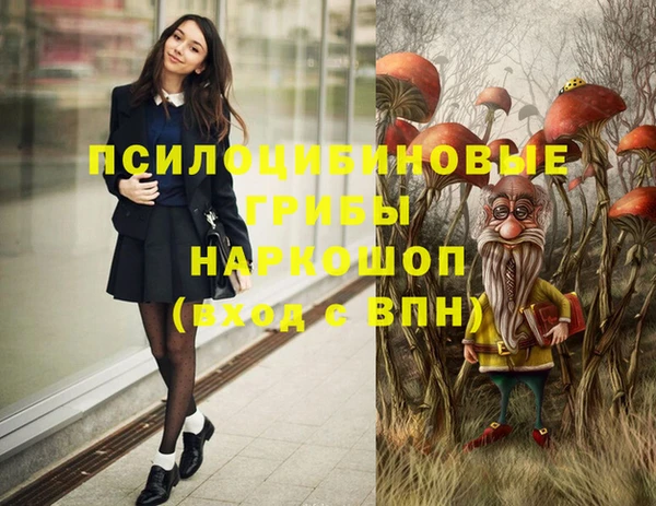 трава Бронницы