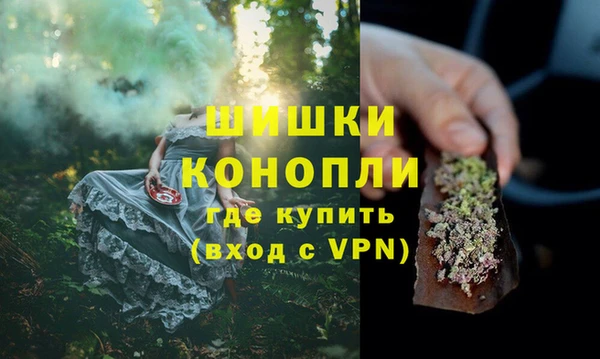 гидропоника Бородино