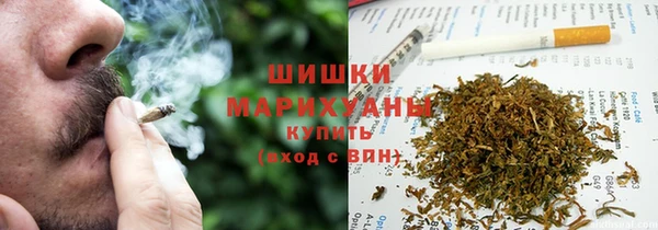 гидропоника Бородино